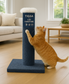 Tigga Cat Scratch Carpet Pole Grey Med 75cm