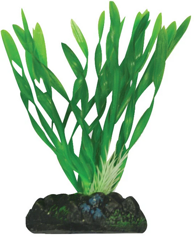 * Aqua One Plastic Plant - Corkscrew Val 13cm
