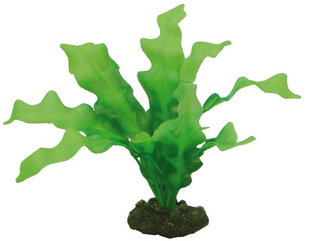 Aqua One Plastic Plant - Green Echinodorus 18cm