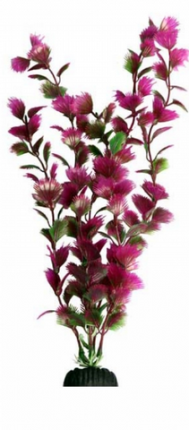 Aqua One Ecoscape - Fan Palm Pink Large