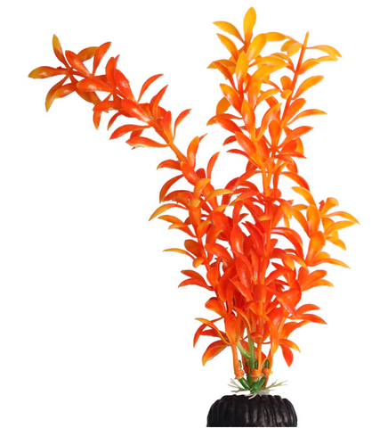 Aqua One Brightscape - Ludwigia Orange Medium