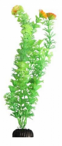Aqua One Ecoscape - Ambulia Green Medium
