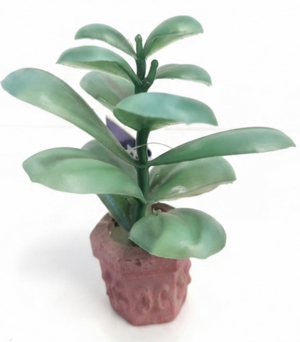 Aqua One Ornament - Bettascape Anubias Pot Plant
