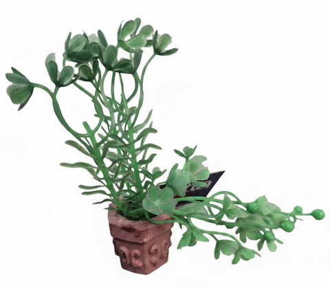 Aqua One Ornament - Bettascape Baby Tears Pot Plant