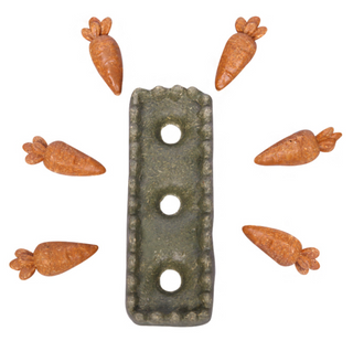 Pet One Small Animal Treat - Carrot Patch 7pcs