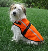 Be Seen Hi-Viz Vest Extra Small