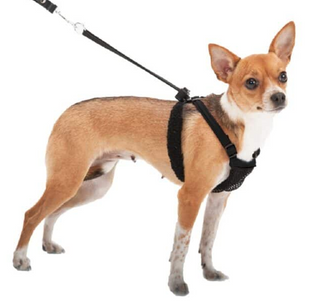 Sporn Stop Pulling! Harness Small