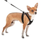 Sporn Stop Pulling! Harness Small