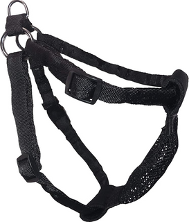 Sporn Comfort Harness Lge