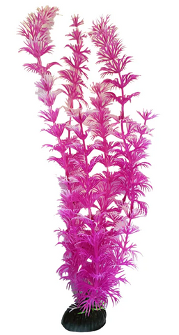 Aqua One Brightscape - Ambulia Pink Large