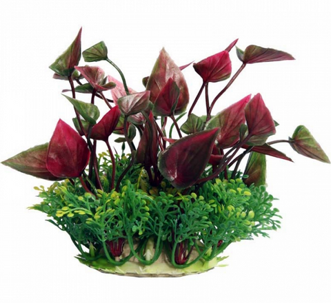 Aqua One Ecoscape - Lily Red Small