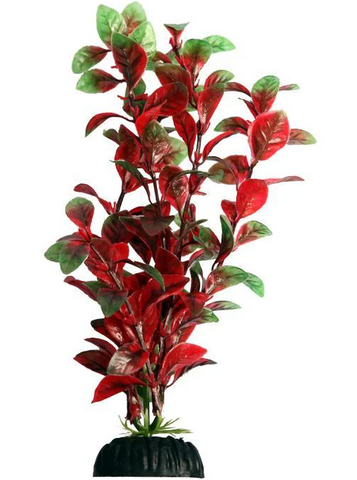 Aqua One Ecoscape - Hygro Red Medium