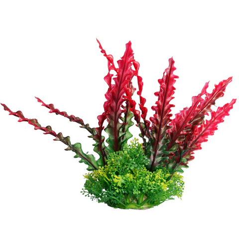 Aqua One Ecoscape - Ruffled Lace Plant Red Medium