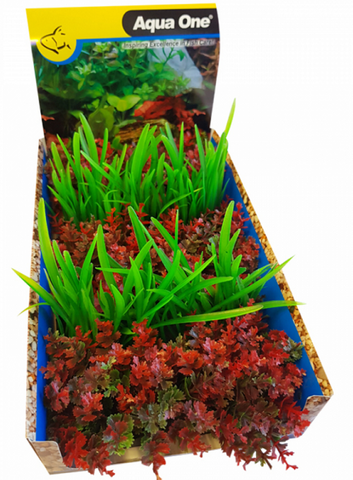 Aqua One Ecoscape - Foreground Red Catspaw/Lilaeopsis