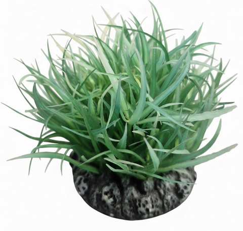 * Aqua One Plastic Plant - Mini Rush Round Base
