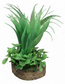 Aqua One Ornament - Planter Box Green Grasses