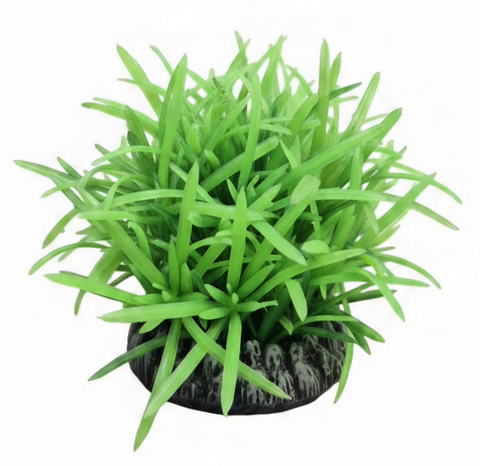 * Aqua One Plastic Plant - Mondo Grass Round Base