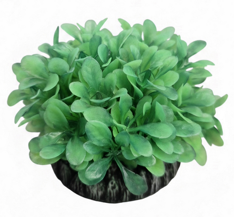 * Aqua One Plastic Plant - Moneywort Round Base