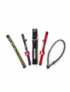 Pet One Collar - ToughDog Nylon Adjustable 38mm 56-68cm Red*