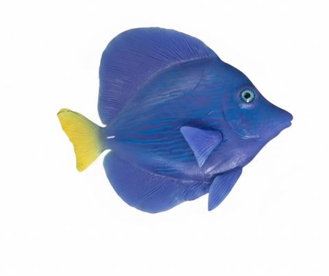 * Aqua One Ornament - Tang Purple Float Glow In Dark