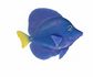 * Aqua One Ornament - Tang Purple Float Glow In Dark