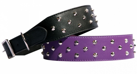 Pet One Collar - Leather Three Row Studded 65cm Black