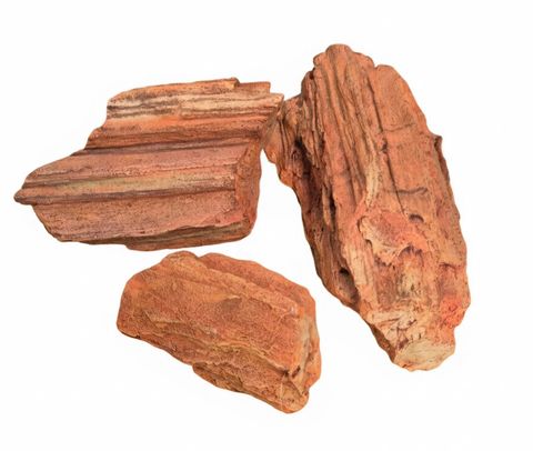 Aqua One Ornament - Petrified Wood Large 22x12.5x8.5cm*