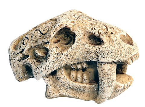 Aqua One Ornament - Mini Dinosaur Head w/ Fangs 5x7x4.5cmh