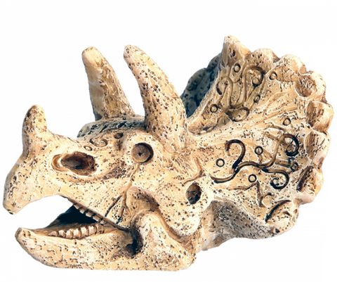 Aqua One Ornament - Dinosaur Head w/ Horn 6.5x8x5.5cmh