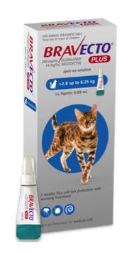 Bravecto Plus Cat Spot On 2.8kg - 6.25kg 1pk