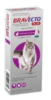 Bravecto Plus Cat Spot On Large 6.25-12.5kg 1pk