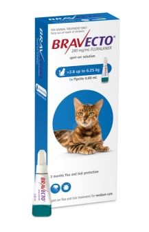 Bravecto Cat Spot On 2.8kg - 6.25kg 1pk