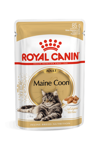 RC WET Cat Maine Coon Pouch 85g