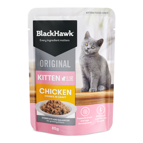 Black Hawk Cat Kitten Chicken & Gravy 85g