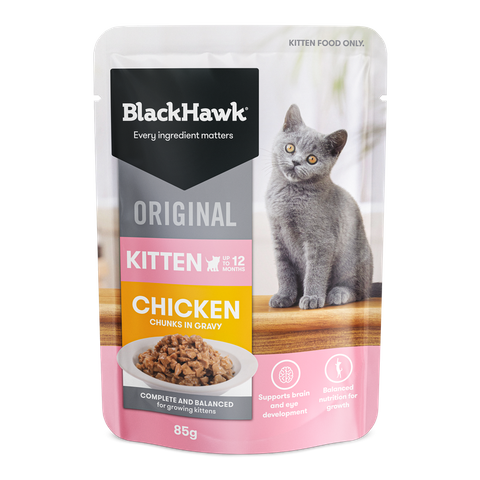 Black Hawk WET Cat Kitten Chicken & Gravy 85g