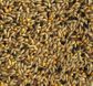 Topflite Canary Seed Mix 2kg