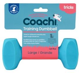 Coachi Training Dumbbell - Light Blue Large