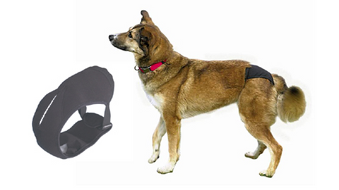 Trixie Protective Dog Pants - Small - 24-31cm