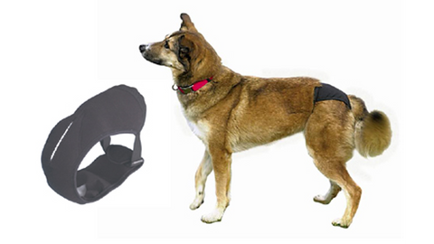 Trixie Protective Dog Pants - XLarge - 60-70cm