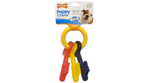 Nylabone Teething Keys -  Small
