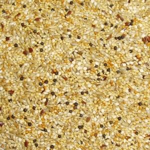 Seed Finch Mix 1kg