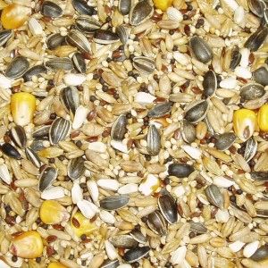 Seed Parrot Mix 2kg