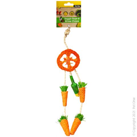 Pet One Veggie Rope And Straw Chew Hanging Dreamcatcher 26cm
