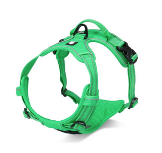 True Love No-Pull Deluxe Mesh Harness - Green Small