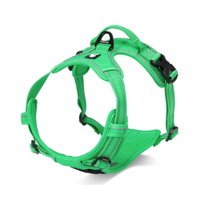 True Love No-Pull Deluxe Mesh Harness - Green Small