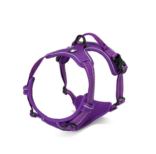 True Love No-Pull Deluxe Mesh Harness - Purple L