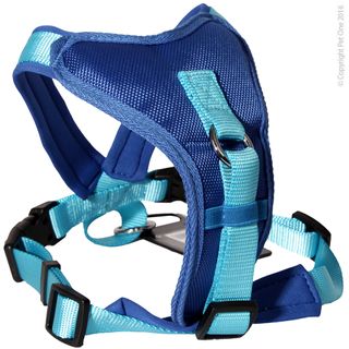 Pet One Harness - Comfy Padded 54-66cm 20mm Blue