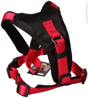 Pet One Harness - Comfy Padded 76-92cm 25mm Black/Red