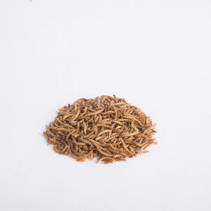 Dried Mealworms 200g