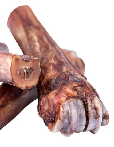 Venison Shank Bone 1pc